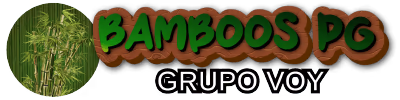 bamboospg.com
